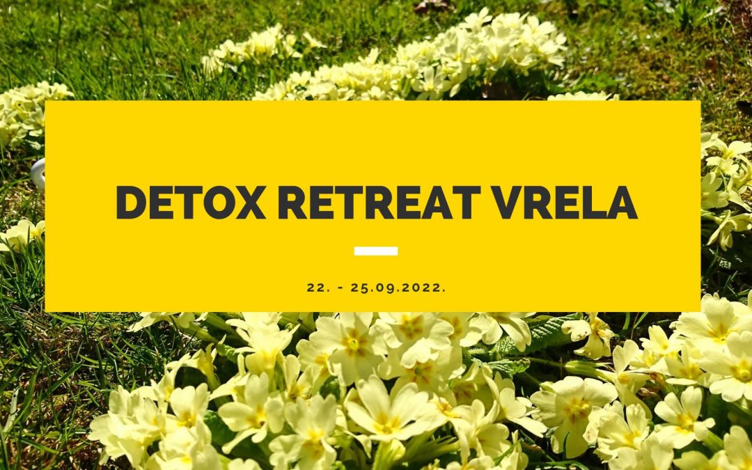 Detox Retreat, Vrela