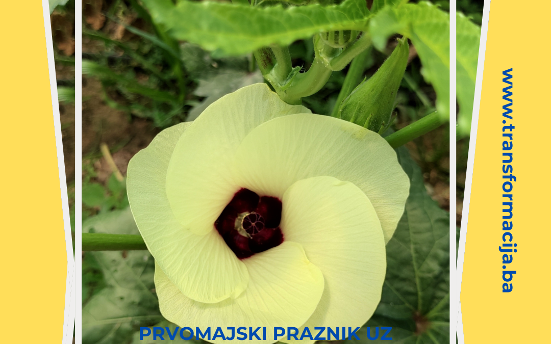 Yoga & Reiki Retreat