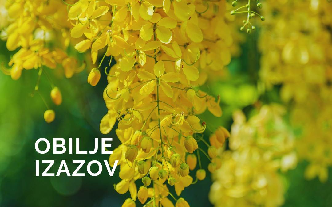 Izazov Obilje